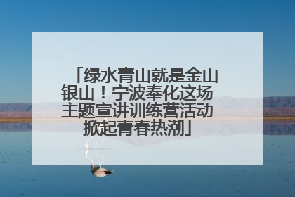 绿水青山就是金山银山！宁波奉化这场主题宣讲训练营活动掀起青春热潮