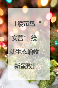 绶带鸟“安营” 绘就生态增收新景致
