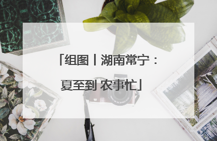 组图丨湖南常宁：夏至到 农事忙