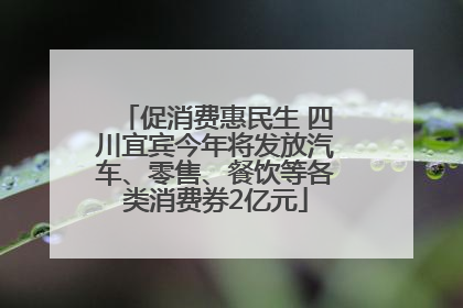 促消费惠民生 四川宜宾今年将发放汽车、零售、餐饮等各类消费券2亿元