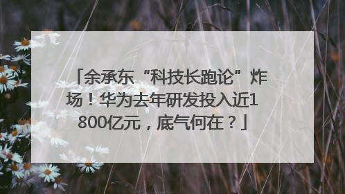 余承东“科技长跑论”炸场！华为去年研发投入近1800亿元，底气何在？