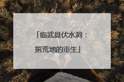 临武县伏水洞：撂荒地的重生