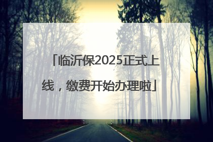 临沂保2025正式上线，缴费开始办理啦