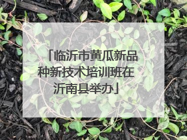 临沂市黄瓜新品种新技术培训班在沂南县举办