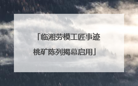 临湘劳模工匠事迹桃矿陈列揭幕启用
