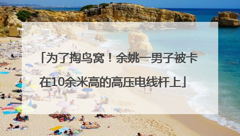 为了掏鸟窝！余姚一男子被卡在10余米高的高压电线杆上