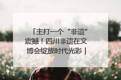 主打一个“非遗”震撼！四川非遗在文博会绽放时代光彩｜文博向“新”