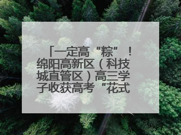 一定高“粽”！绵阳高新区（科技城直管区）高三学子收获高考“花式”祝福