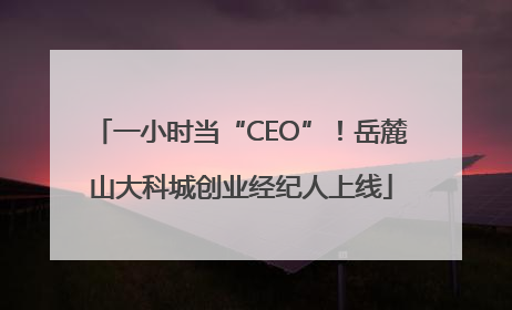 一小时当“CEO”！岳麓山大科城创业经纪人上线