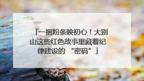一捆粉条映初心！大别山这些红色故事里藏着纪律建设的 “密码”