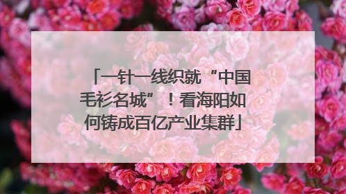 一针一线织就“中国毛衫名城”！看海阳如何铸成百亿产业集群