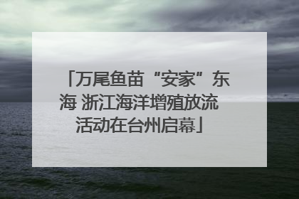 万尾鱼苗“安家”东海 浙江海洋增殖放流活动在台州启幕