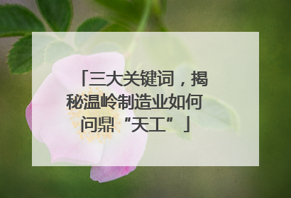三大关键词，揭秘温岭制造业如何问鼎“天工”