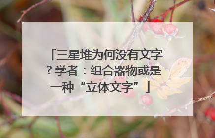 三星堆为何没有文字？学者：组合器物或是一种“立体文字”