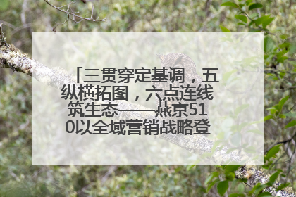 三贯穿定基调，五纵横拓图，六点连线筑生态——燕京510以全域营销战略登顶行业IP新高度