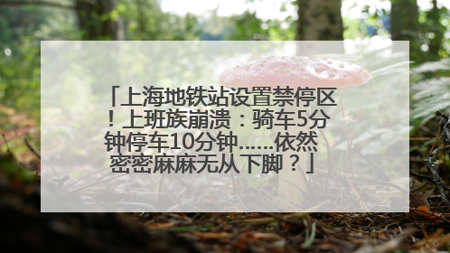 上海地铁站设置禁停区！上班族崩溃：骑车5分钟停车10分钟……依然密密麻麻无从下脚？