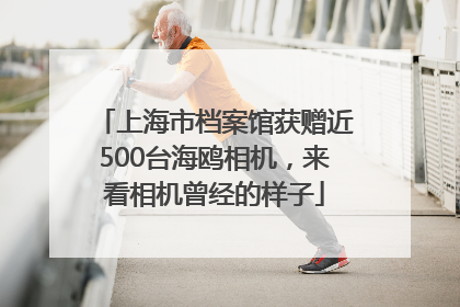 上海市档案馆获赠近500台海鸥相机，来看相机曾经的样子