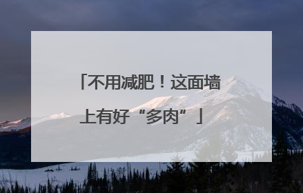 不用减肥！这面墙上有好“多肉”