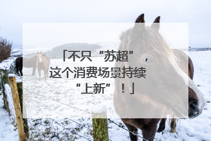 不只“苏超”，这个消费场景持续“上新”！