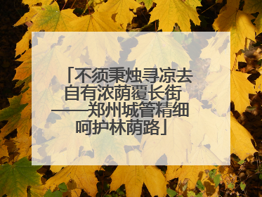 不须秉烛寻凉去 自有浓荫覆长街——郑州城管精细呵护林荫路