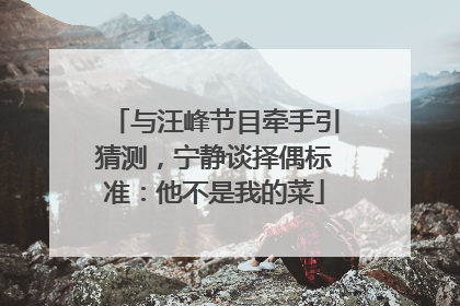 与汪峰节目牵手引猜测，宁静谈择偶标准：他不是我的菜
