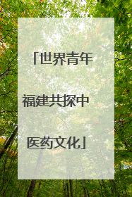 世界青年福建共探中医药文化
