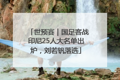 世预赛｜国足客战印尼25人大名单出炉，刘若钒落选