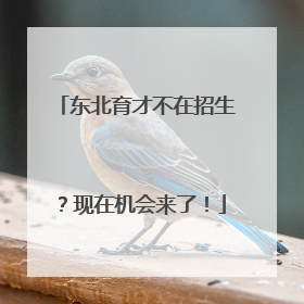 东北育才不在招生？现在机会来了！