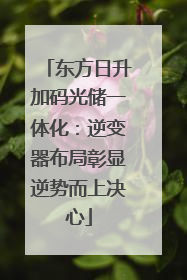 东方日升加码光储一体化：逆变器布局彰显逆势而上决心