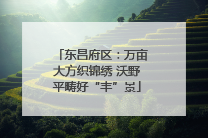 东昌府区：万亩大方织锦绣 沃野平畴好“丰”景