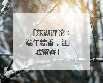 东湖评论：端午粽香，江城留客