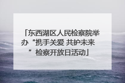 东西湖区人民检察院举办“携手关爱 共护未来”检察开放日活动
