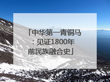 中华第一青铜马：见证1800年前民族融合史