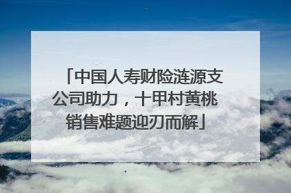 中国人寿财险涟源支公司助力，十甲村黄桃销售难题迎刃而解