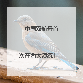 中国双航母首次在西太演练