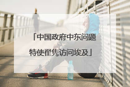 中国政府中东问题特使翟隽访问埃及