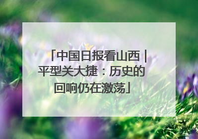 中国日报看山西｜平型关大捷：历史的回响仍在激荡