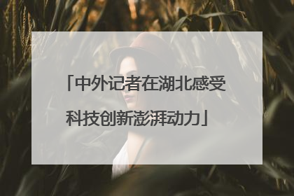 中外记者在湖北感受科技创新澎湃动力