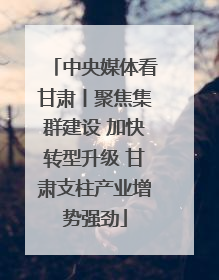 中央媒体看甘肃丨聚焦集群建设 加快转型升级 甘肃支柱产业增势强劲
