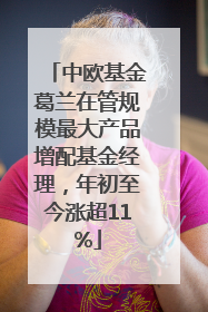 中欧基金葛兰在管规模最大产品增配基金经理，年初至今涨超11%