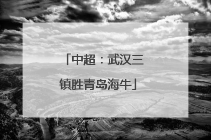 中超：武汉三镇胜青岛海牛