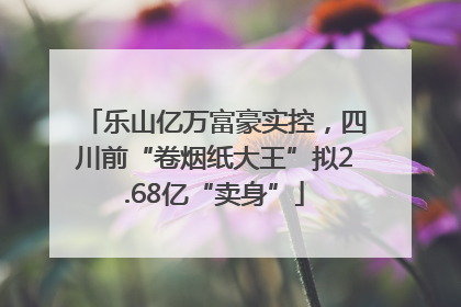 乐山亿万富豪实控，四川前“卷烟纸大王”拟2.68亿“卖身”