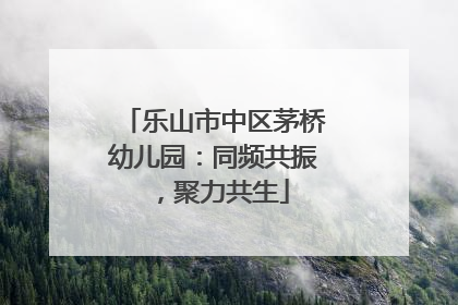 乐山市中区茅桥幼儿园：同频共振，聚力共生