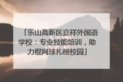 乐山高新区嘉祥外国语学校：专业技能培训，助力棍网球扎根校园