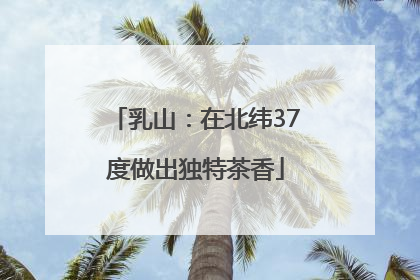 乳山：在北纬37度做出独特茶香