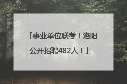事业单位联考！洛阳公开招聘482人！