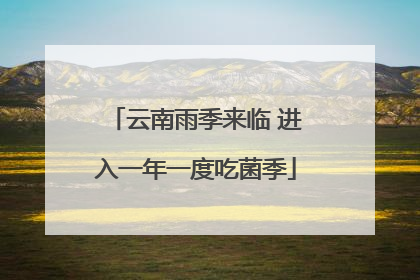 云南雨季来临 进入一年一度吃菌季