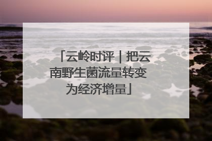 云岭时评｜把云南野生菌流量转变为经济增量