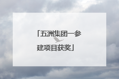 五洲集团一参建项目获奖