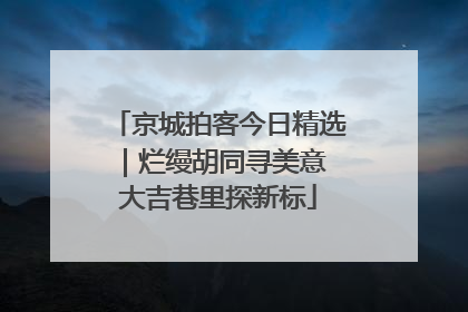 京城拍客今日精选｜烂缦胡同寻美意 大吉巷里探新标